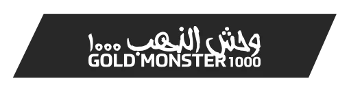 erzurum-minelab-gold-monster-1000